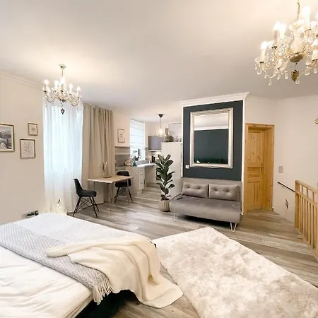 New Deluxe Studio Apartment In Quiet Back House Drezno Zewnętrze zdjęcie