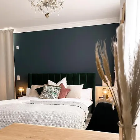 New Deluxe Studio Apartment In Quiet Back House Drezno Zewnętrze zdjęcie