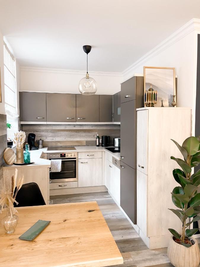 New Deluxe In Quiet Back House Apartament Drezno